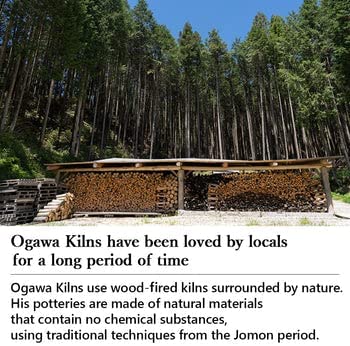 Ogawa Kiln Oribe 6.3" Pine Trees and Rhombus Shaped Appetizer Plate - Matsuhishi