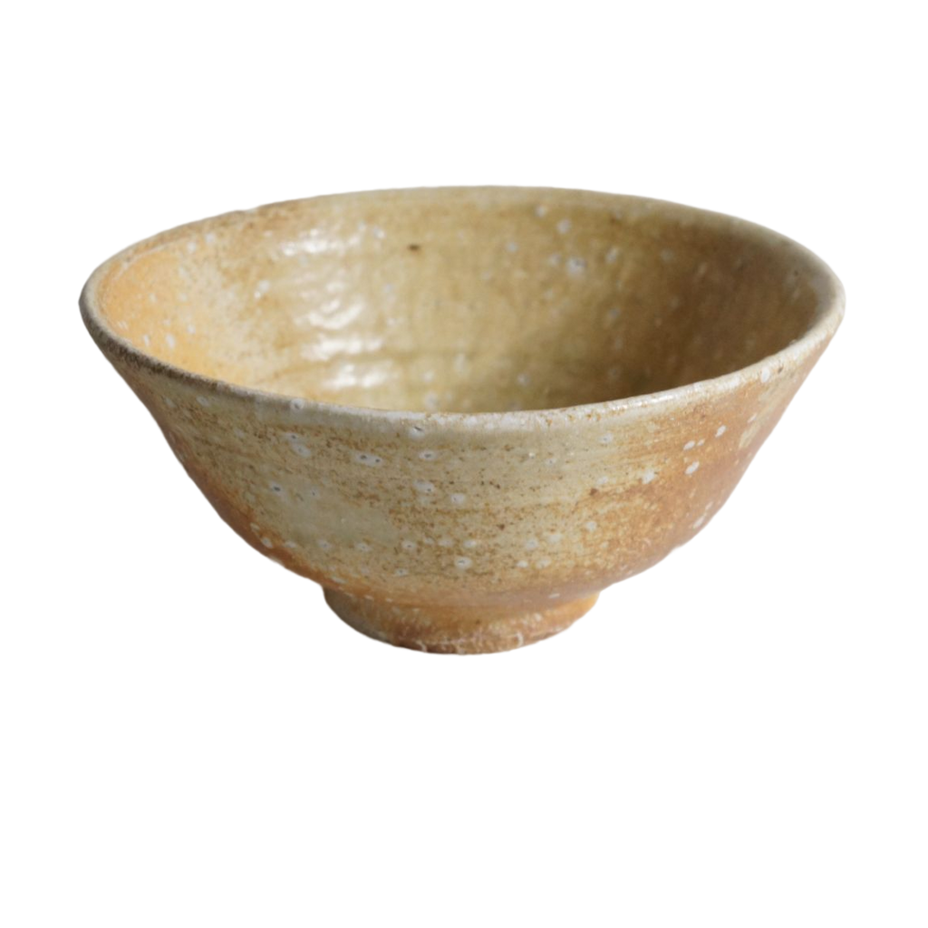 Ogawa Kiln Iga 6.9" Donburi Bowl