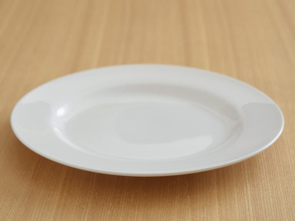 Porcelain Wide Rim Round Plates Set of 4 - Ivory