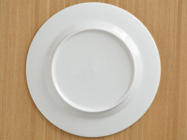 Porcelain Wide Rim Round Plates Set of 4 - Ivory