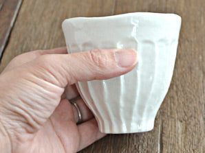 Shinogi Japanese Teacups Set of 4 - White