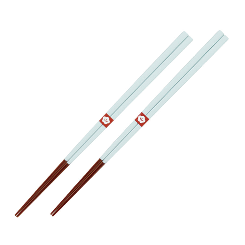 Ajiiro Bamboo Chopsticks with Gift Box Set of 2 - Light Blue