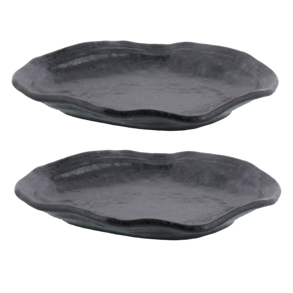 Black Asymmetrical Plate Set of 2 - Tenmoku