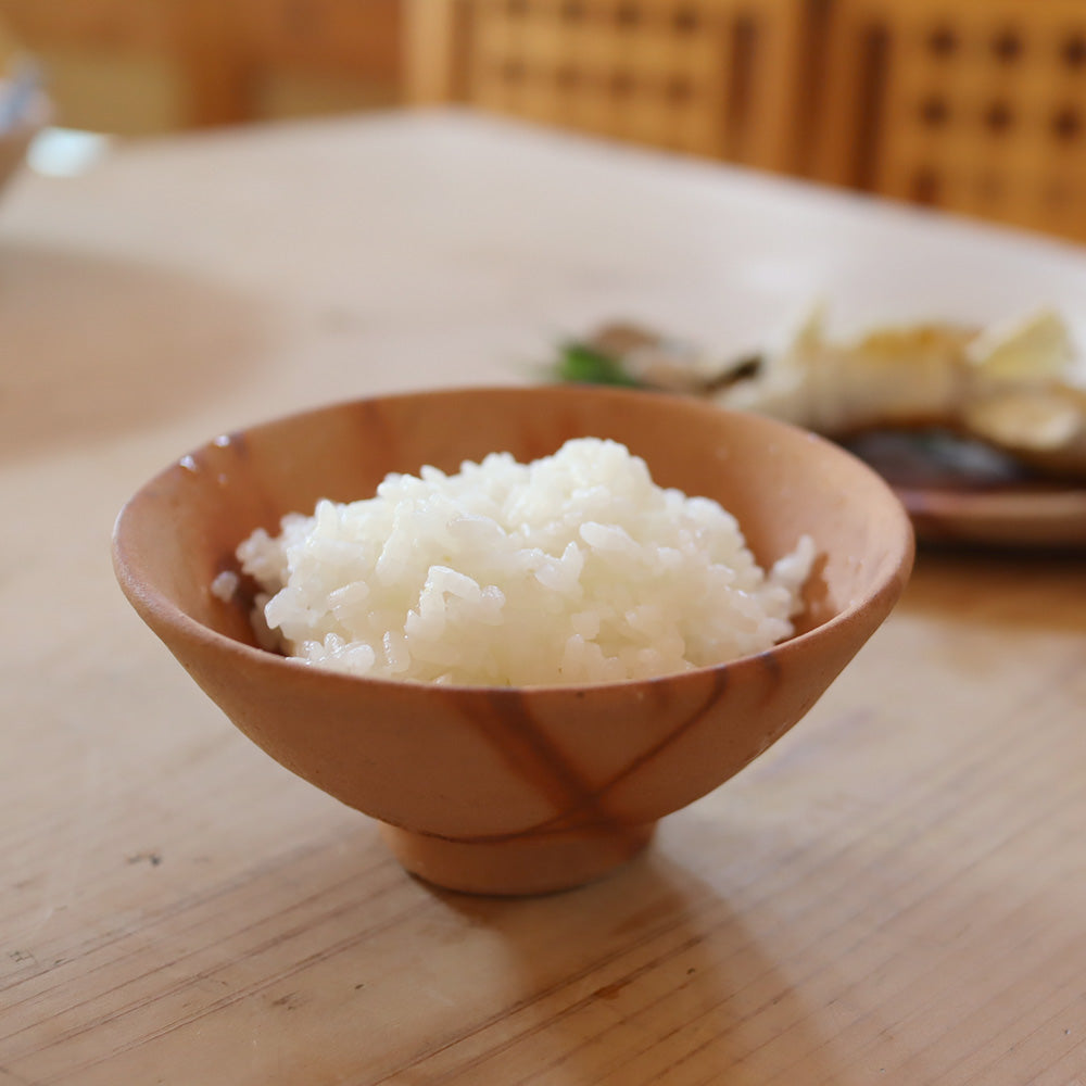 Ogawa Kiln 4.7" Rice Bowl Jumon Pottery - Small